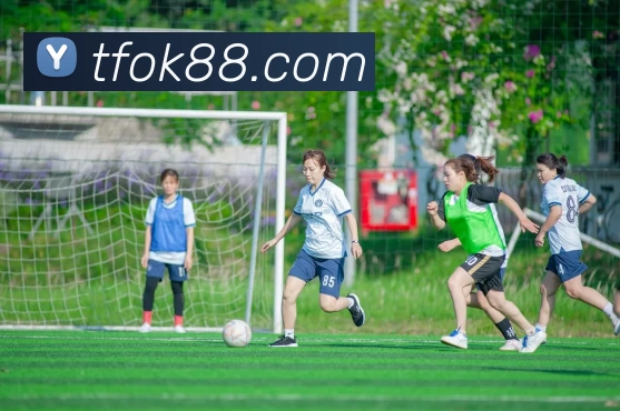 App Interface Preview