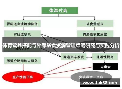 体育营养搭配与外部膳食资源管理策略研究与实践分析