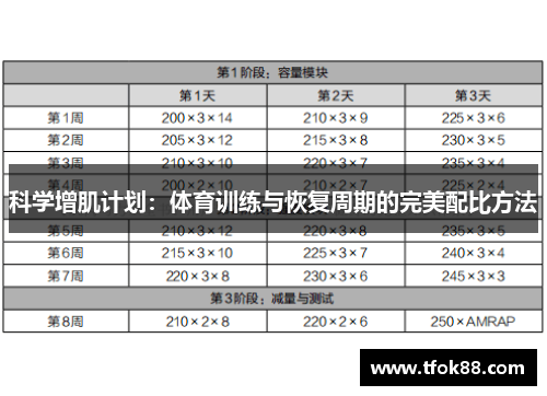 科学增肌计划：体育训练与恢复周期的完美配比方法